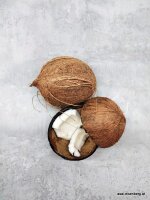 Kokos Fruchtpüree 100g gefroren, kein Versand