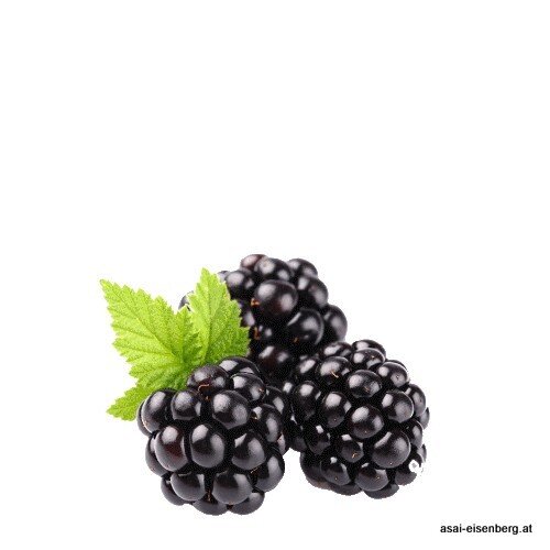 Anden Brombeeren Fruchtpüree 100g ohne Kerne, tiefgefroren. kein Versaand!