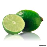 Limette Fruchtpüree 100g tiefgefroren, kein Versand