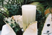 Graviola, Soursop, Guanabana Fruchtpüree 100g...