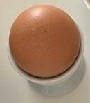 Gekochtes Ei, weich oder hart, pro Stück, serviert