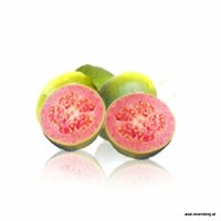 Guave Fruchtpüree 100g, Goiaba, tiefgefroren, kein...
