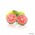 Guave Fruchtpüree 100g, Goiaba, tiefgefroren, kein Versand!